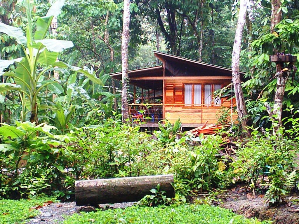 El Tucan Jungle Lodge Puerto Viejo de Talamanca 외부 사진