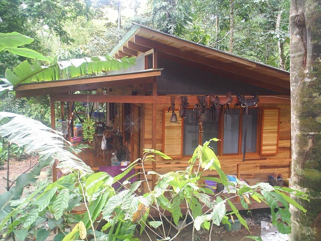 El Tucan Jungle Lodge Puerto Viejo de Talamanca 객실 사진