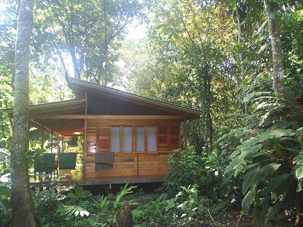 El Tucan Jungle Lodge Puerto Viejo de Talamanca 객실 사진