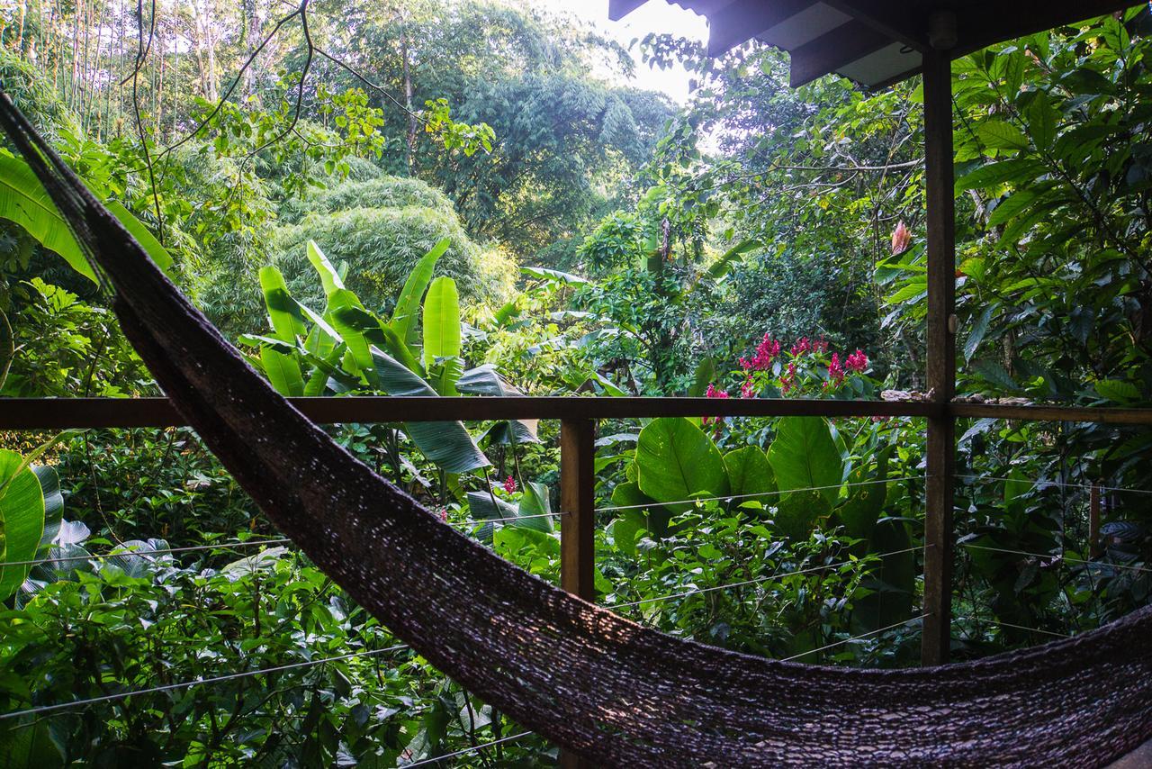 El Tucan Jungle Lodge Puerto Viejo de Talamanca 외부 사진
