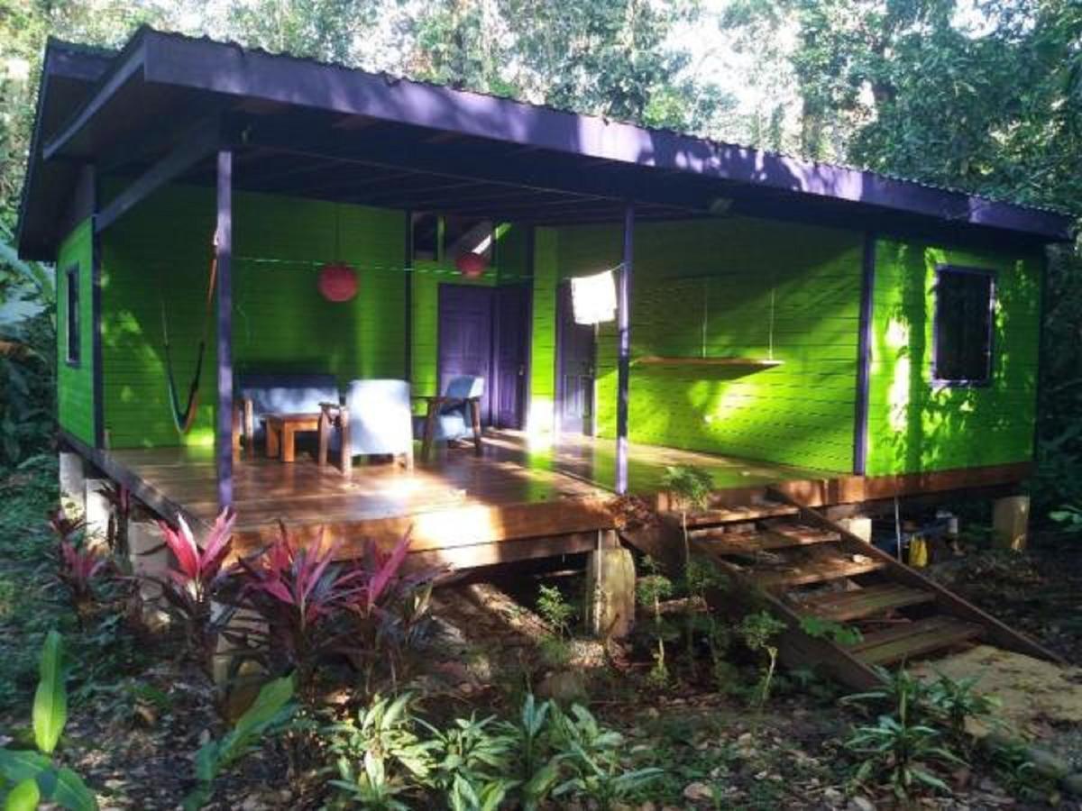 El Tucan Jungle Lodge Puerto Viejo de Talamanca 외부 사진
