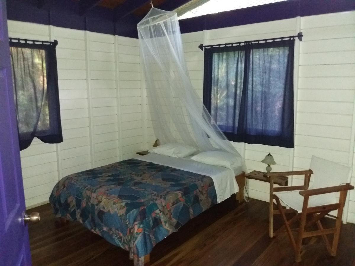 El Tucan Jungle Lodge Puerto Viejo de Talamanca 외부 사진