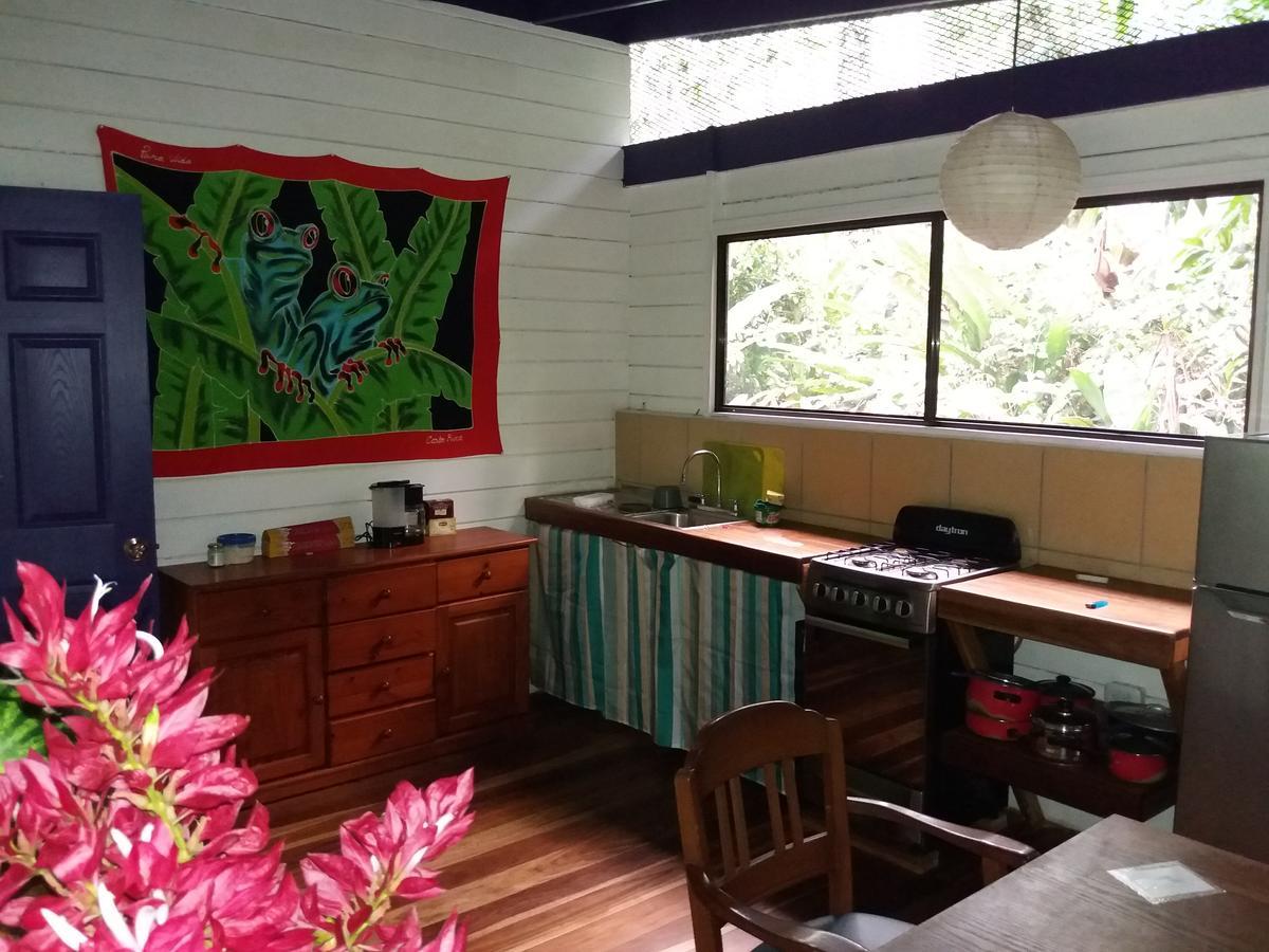 El Tucan Jungle Lodge Puerto Viejo de Talamanca 외부 사진
