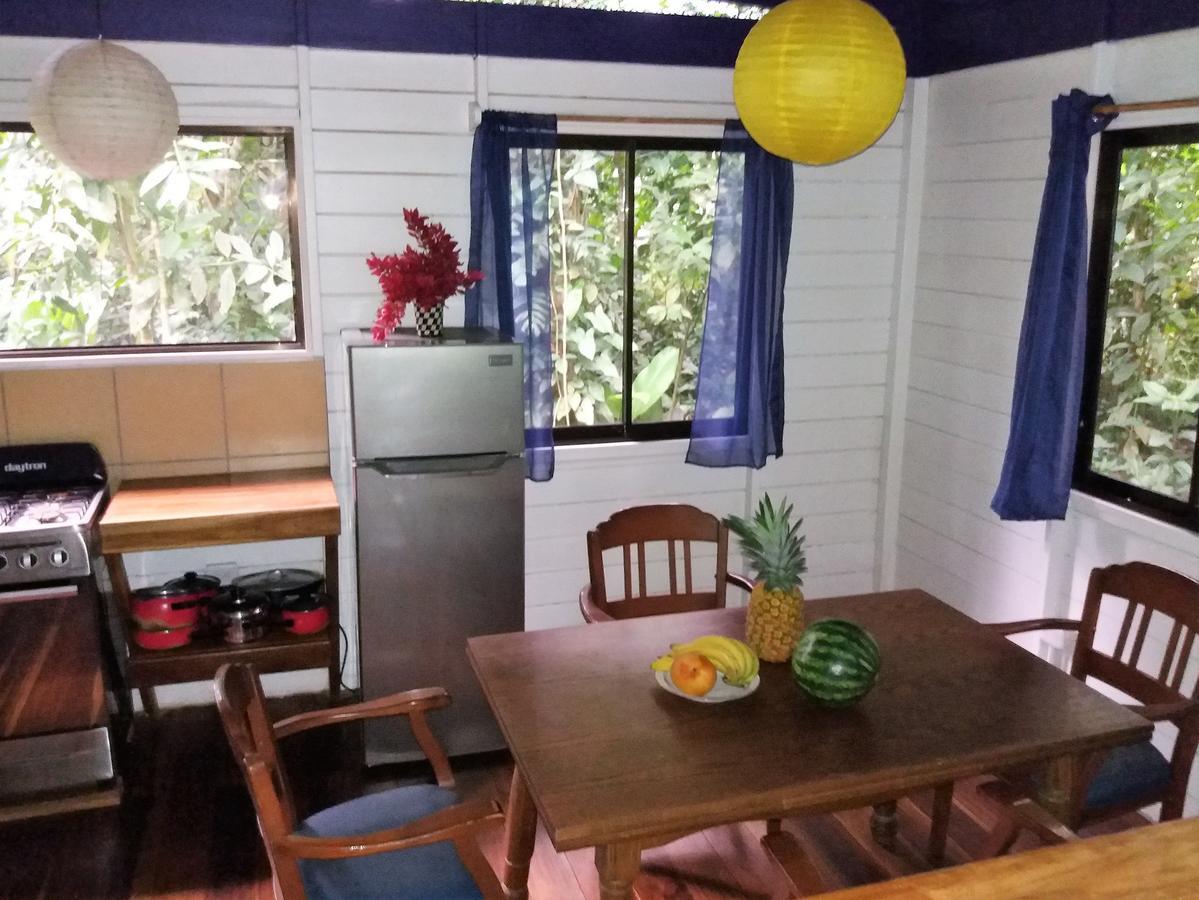 El Tucan Jungle Lodge Puerto Viejo de Talamanca 외부 사진