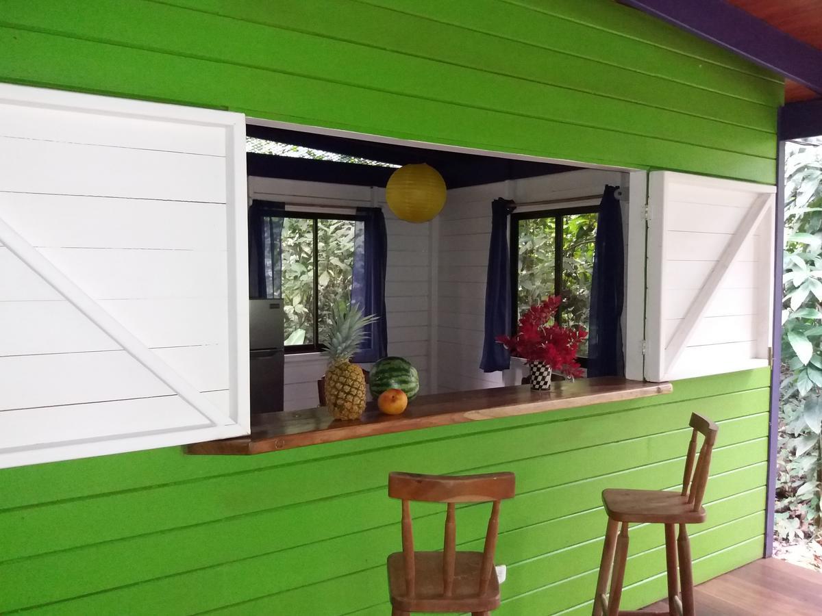 El Tucan Jungle Lodge Puerto Viejo de Talamanca 외부 사진